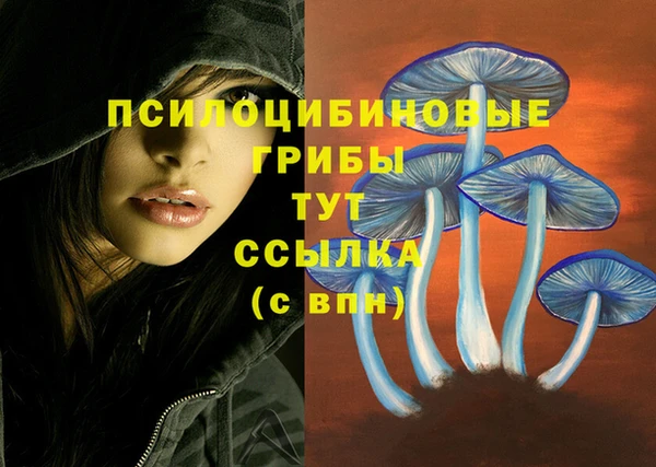 экстази Абинск