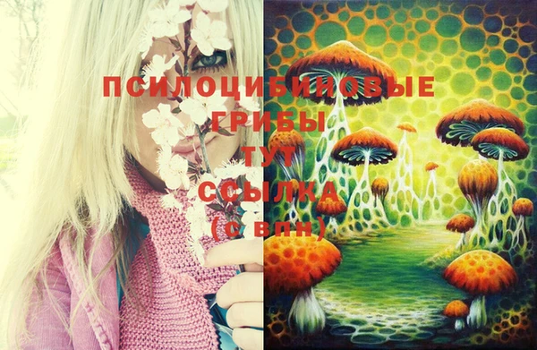 синтетический гашиш Абаза