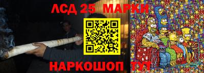 винт Новозыбков