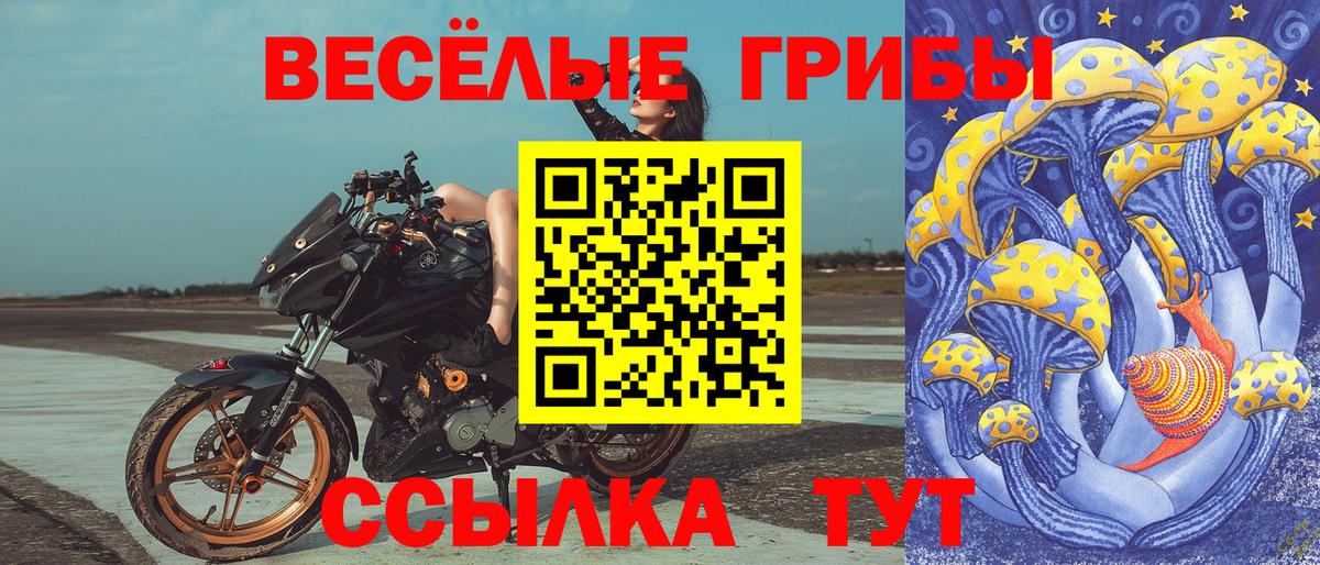 Галлюциногенные грибы Cubensis  Псилоцибиновые грибы мицелий  Чебаркуль  Вход с VPN 