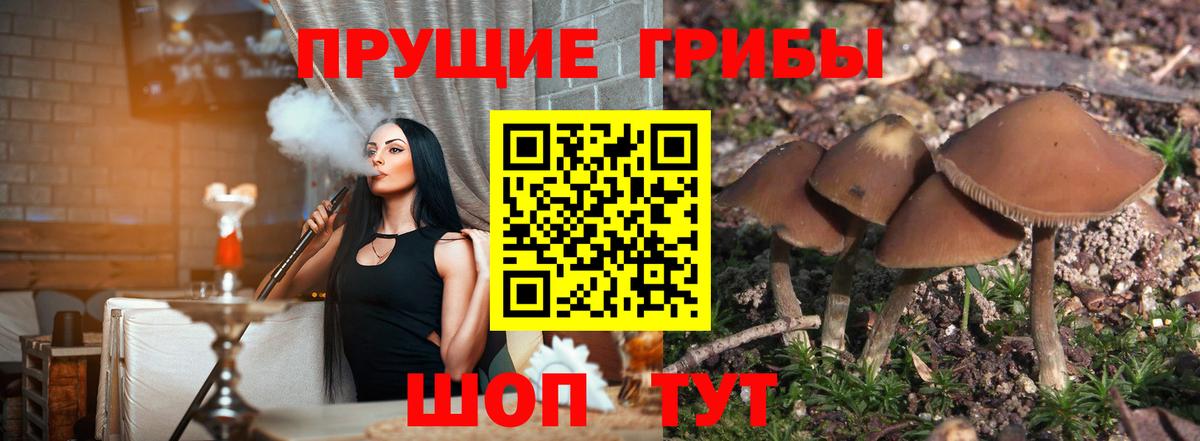 Псилоцибиновые грибы Magic Shrooms Чебаркуль